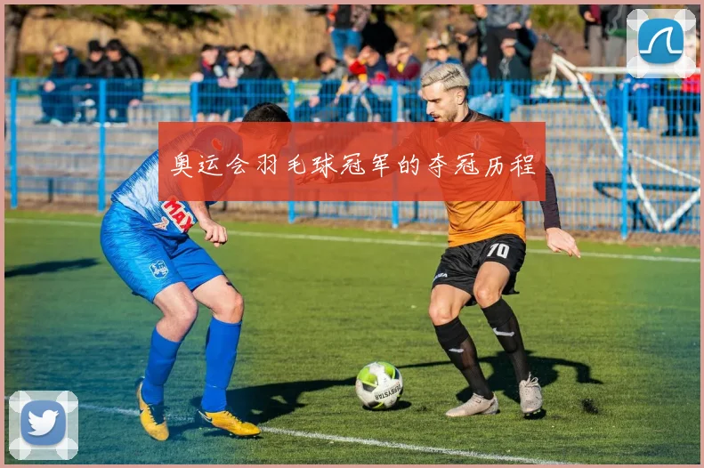 奥运会羽毛球冠军的夺冠历程