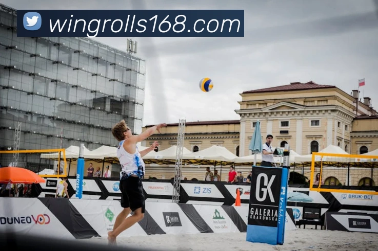 买球官方平台生态图