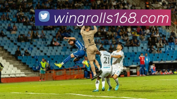 买球官方APP 封面图